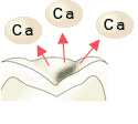 歯の再石灰化1