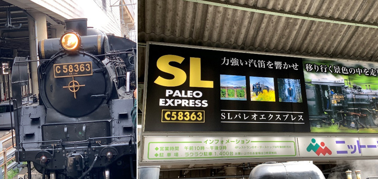 SLパレオエクスプレス